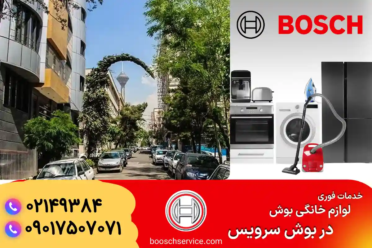 دربارۀ این مقاله بیشتر بخوانید نمایندگی بوش در گیشا